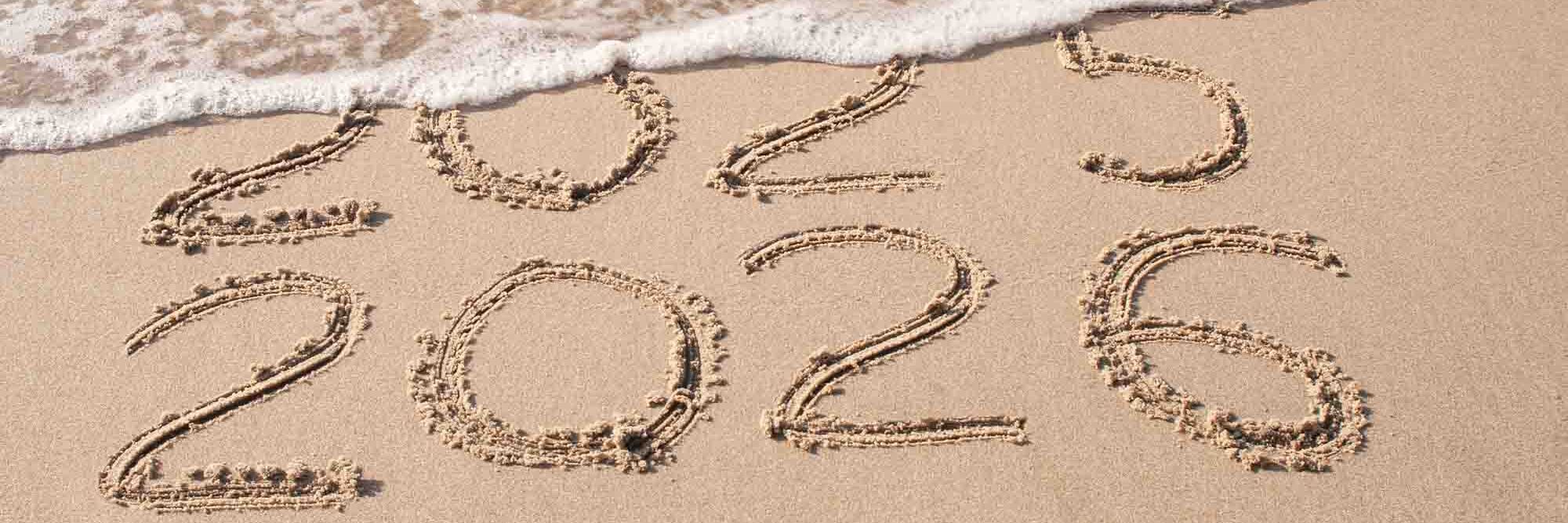Navigating the new M&A landscape: 2025 trends and 2026 implications