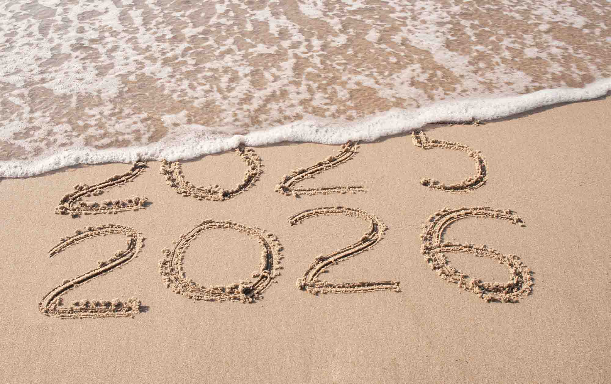 Navigating the new M&A landscape: 2025 trends and 2026 implications