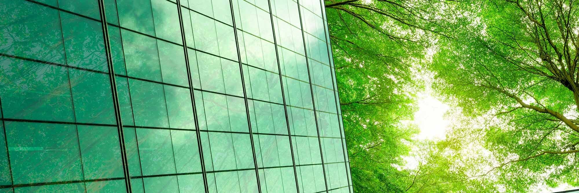 Funding our future: How ASB is supporting Clean Tech initiatives to help decarbonise New Zealand