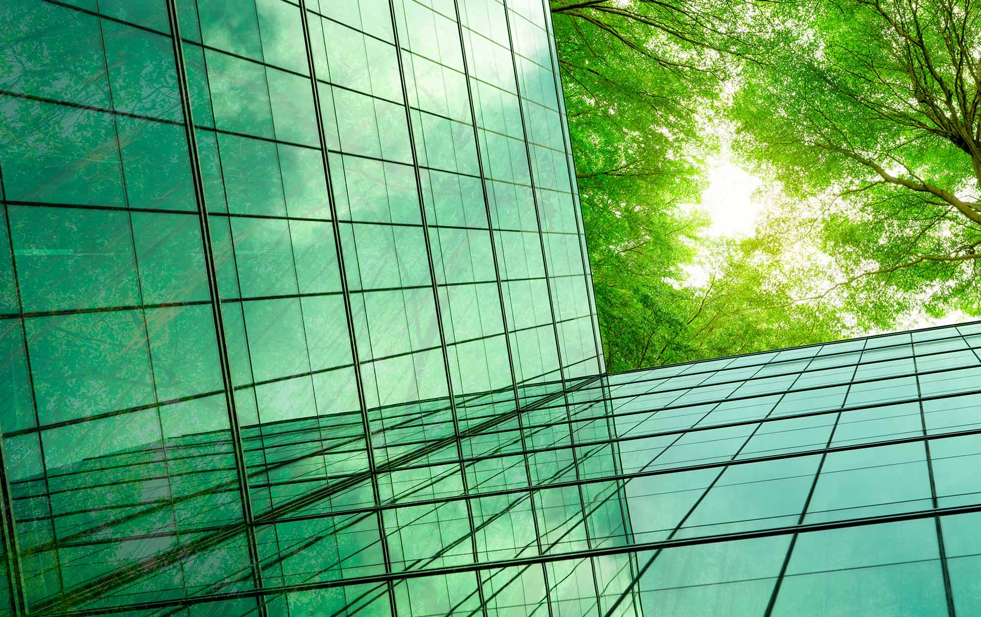 Funding our future: How ASB is supporting Clean Tech initiatives to help decarbonise New Zealand