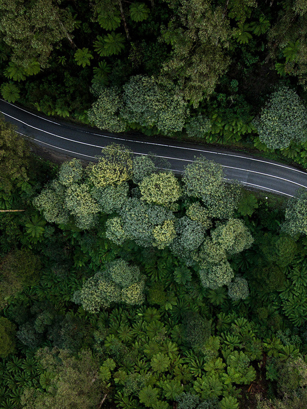 Sustainable Impact: Issue six