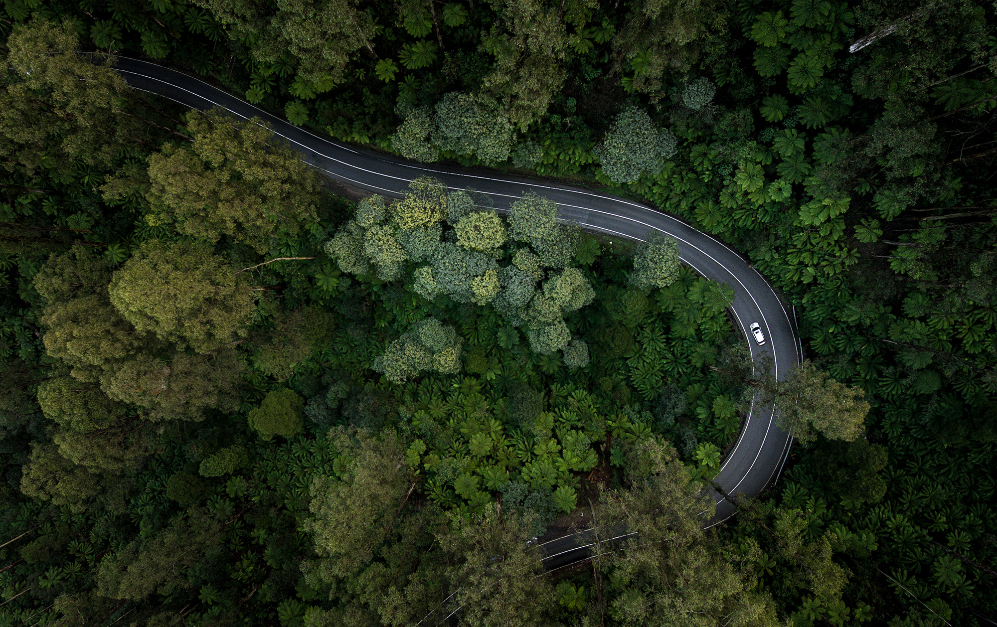 Sustainable Impact: Issue six