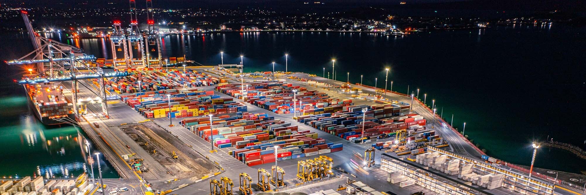 Health and safety litigation: Officer liability following the Ports of Auckland and WorkSafe's new prosecution strategy