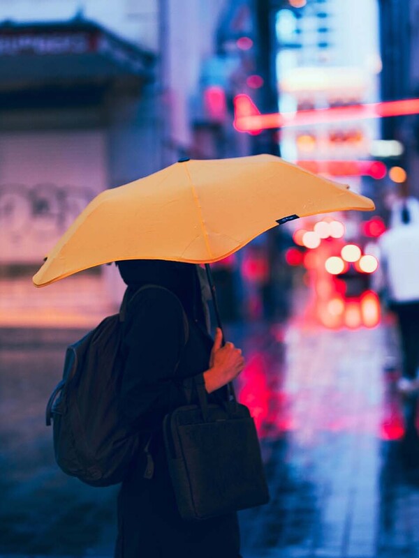 Climate change litigation in New Zealand Civil liability for climate activism?