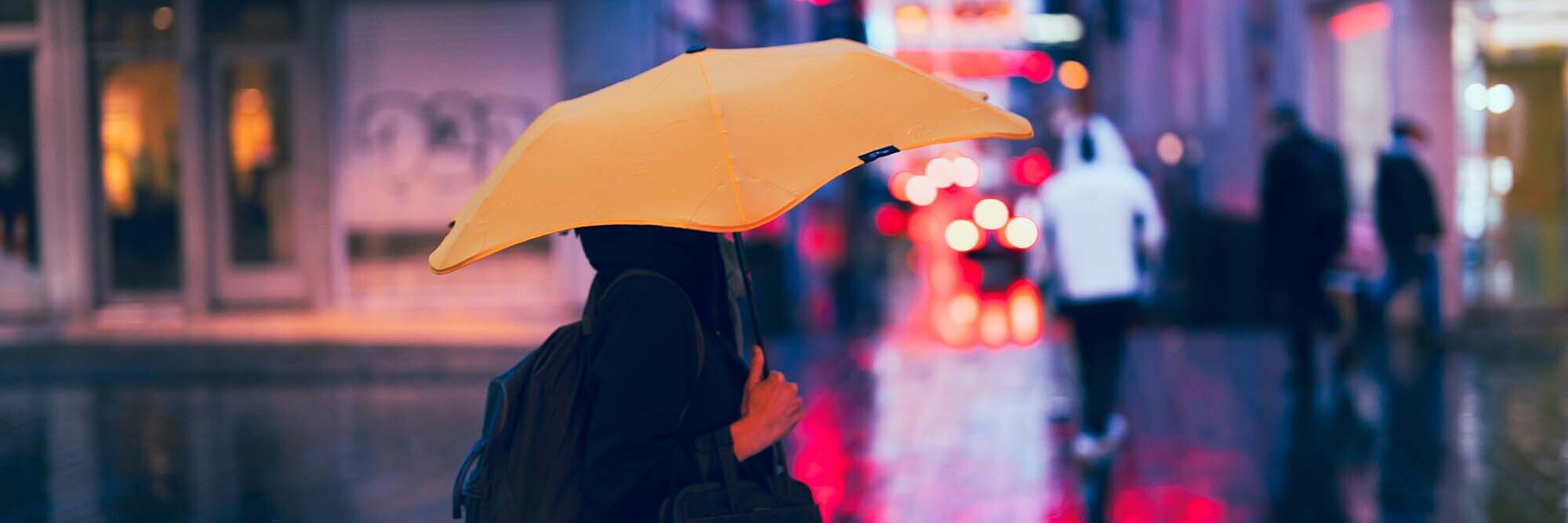 Climate change litigation in New Zealand Civil liability for climate activism?