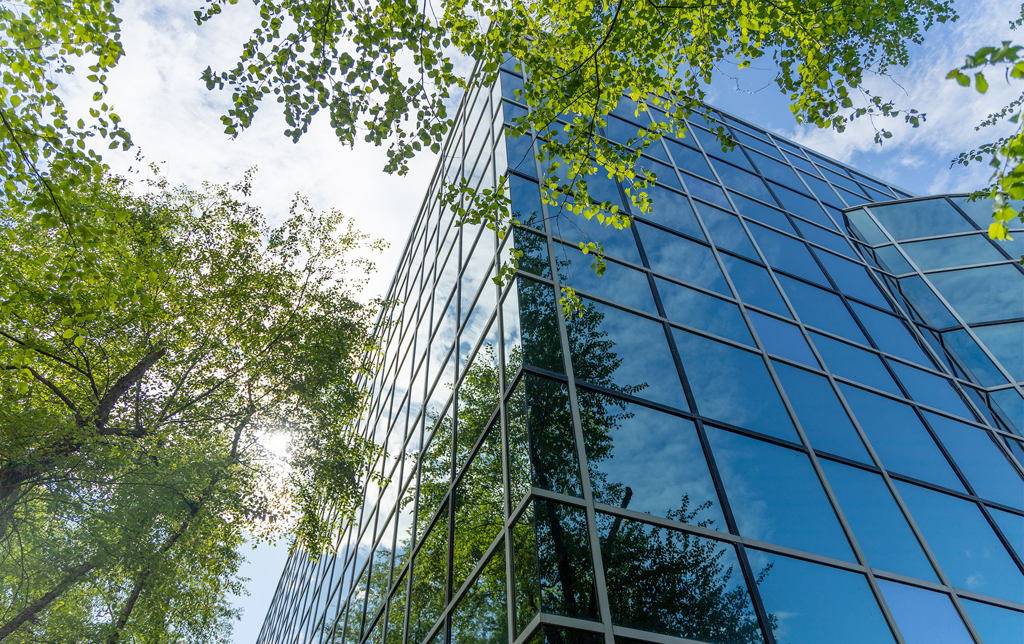 AML/CFT: Associate Minister describes reforms and Programme Guideline updated