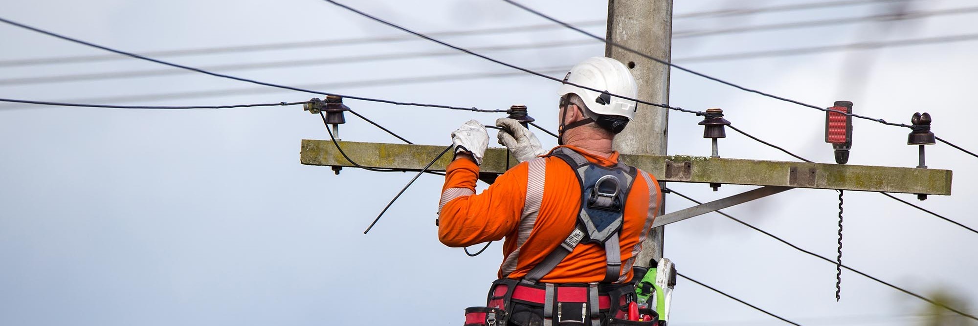 Building our energy future: How Northpower will meet the challenge