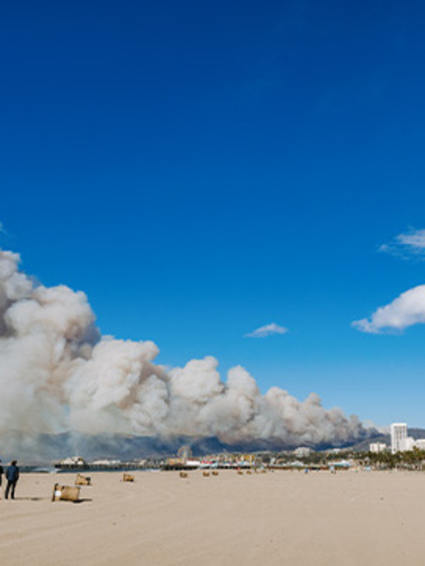 The Los Angeles wildfires: Devastating losses with minimal insurance