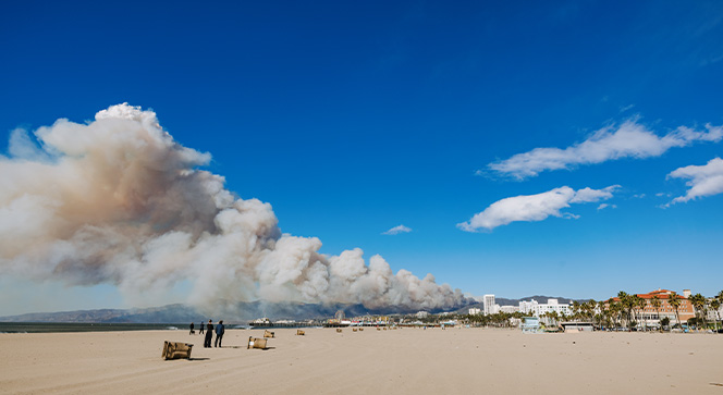 The Los Angeles wildfires: Devastating losses with minimal insurance
