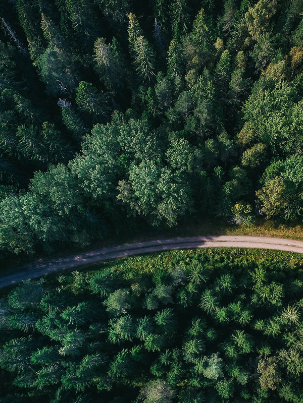 Changes announced to commercial forestry regulations