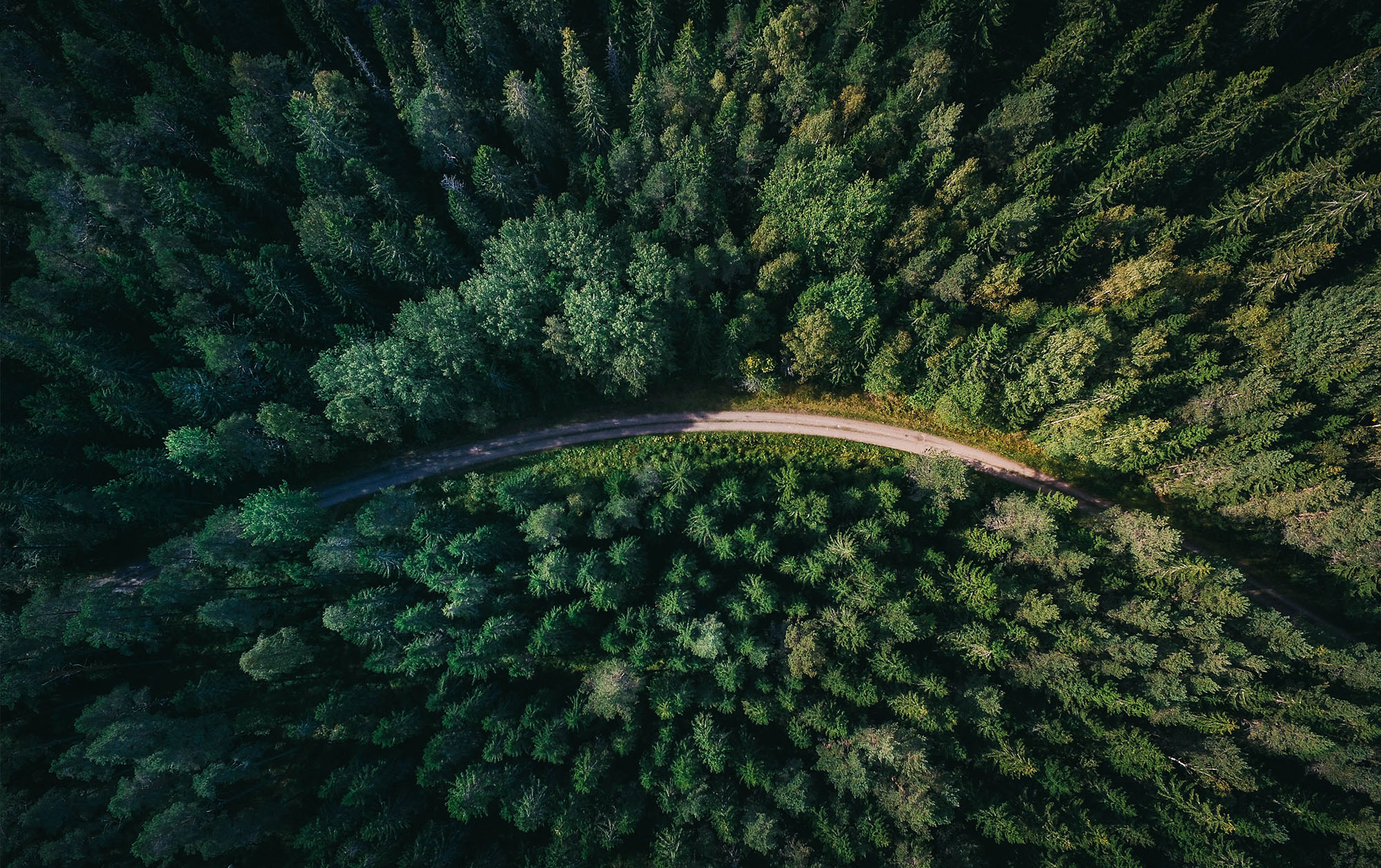 Ministerial inquiry into land use may have far-reaching implications on forestry sector