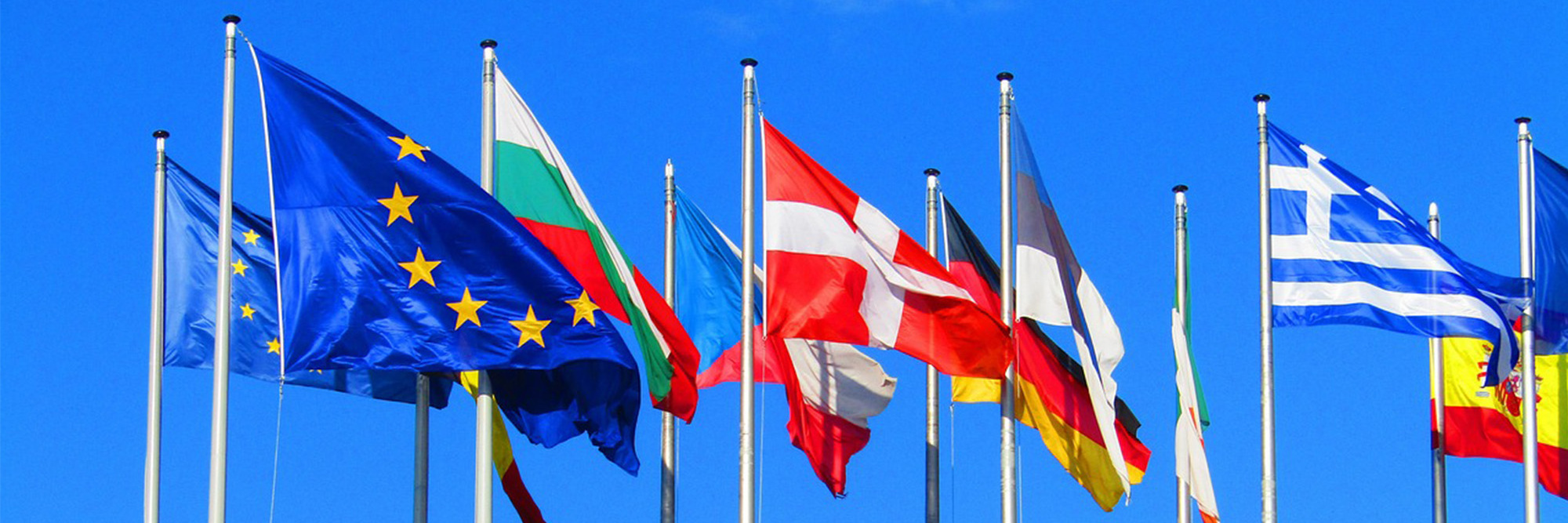 EU/NZ FTA: Seizing opportunities through compliance