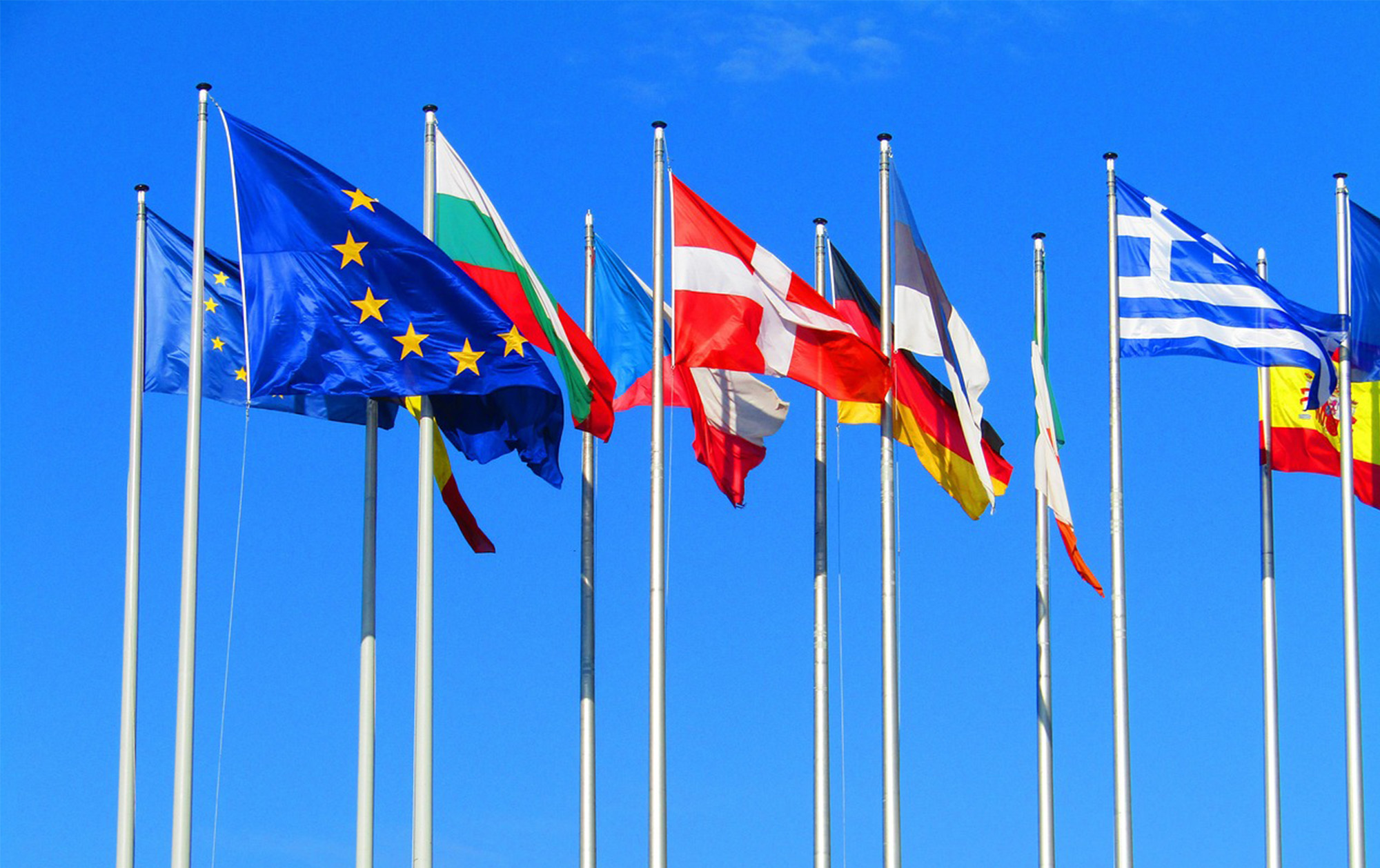 EU/NZ FTA: Seizing opportunities through compliance