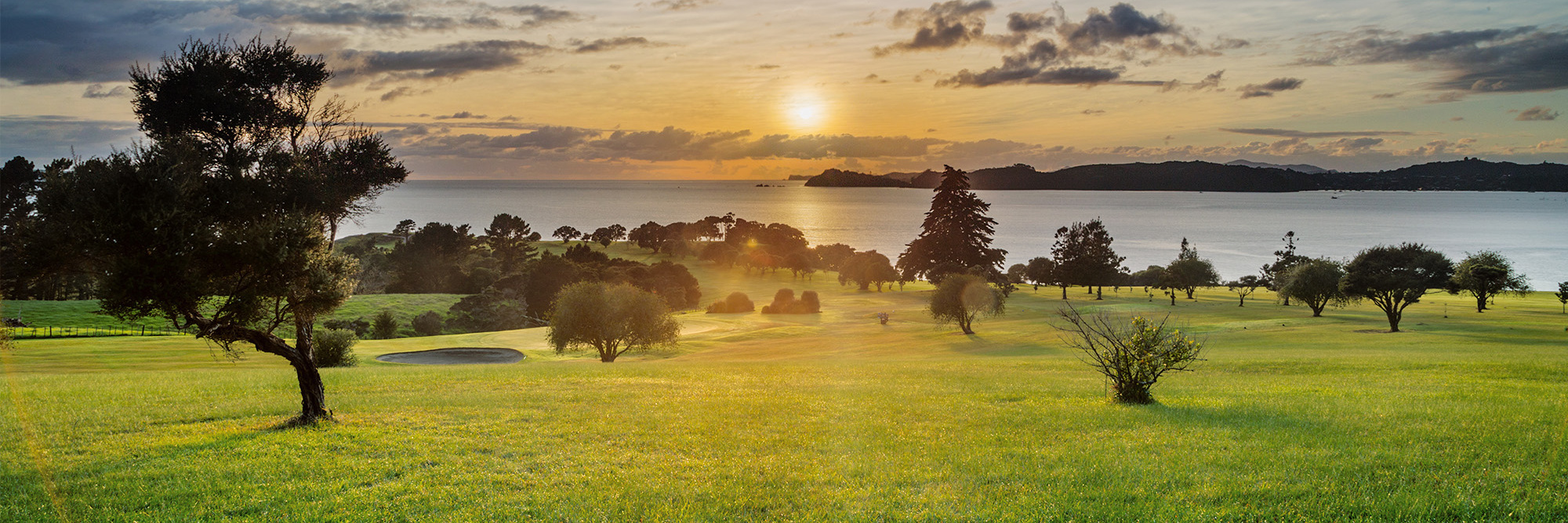 Māori business