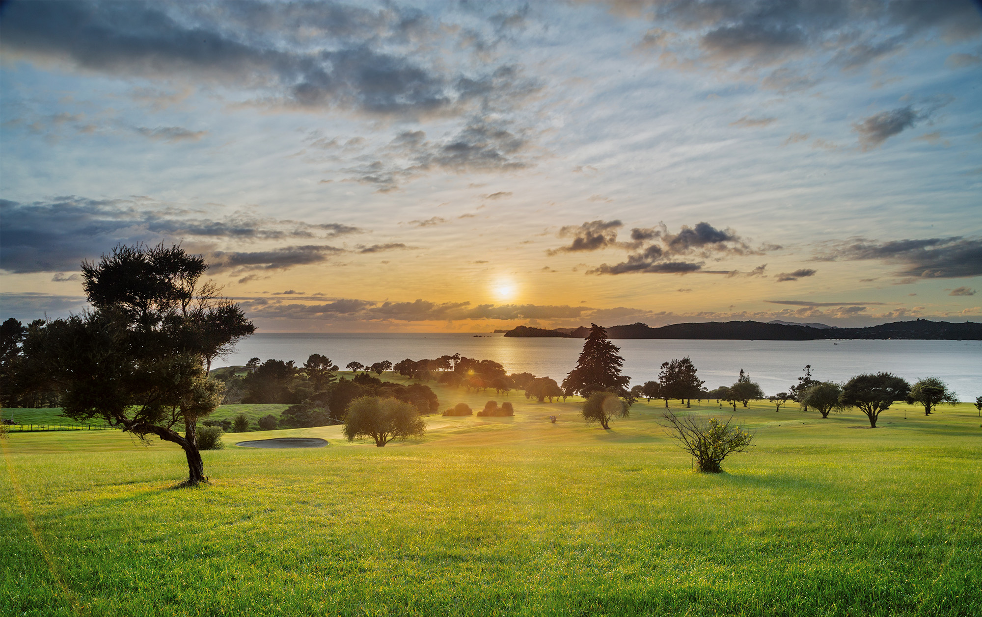 Māori business