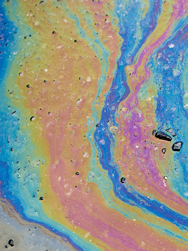 Case study: Court of Appeal rules on exclusion for losses caused by “pollution or contamination”