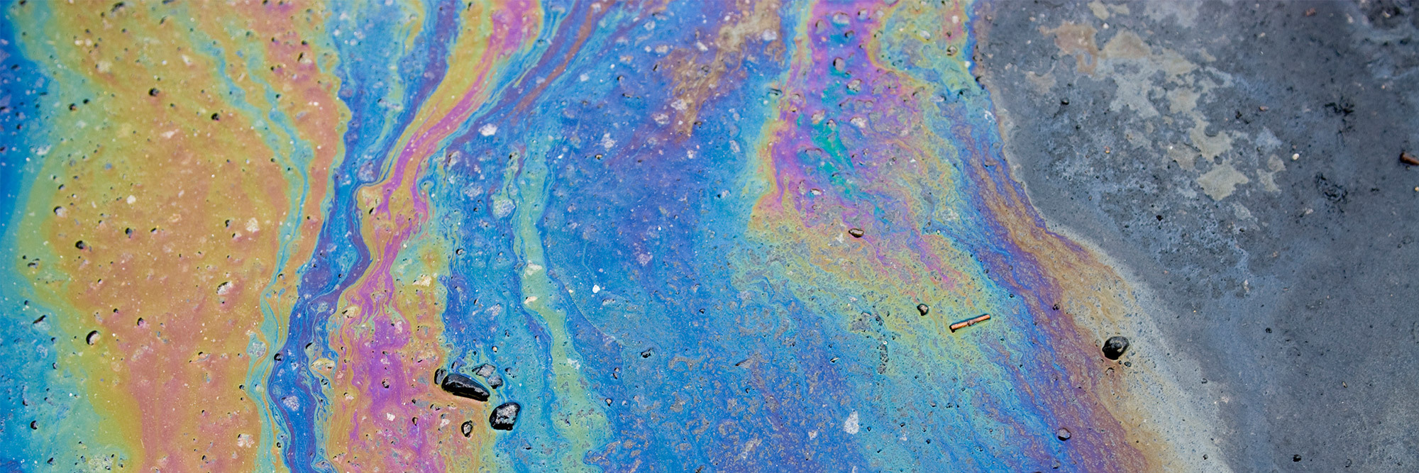 Case study: Court of Appeal rules on exclusion for losses caused by “pollution or contamination”