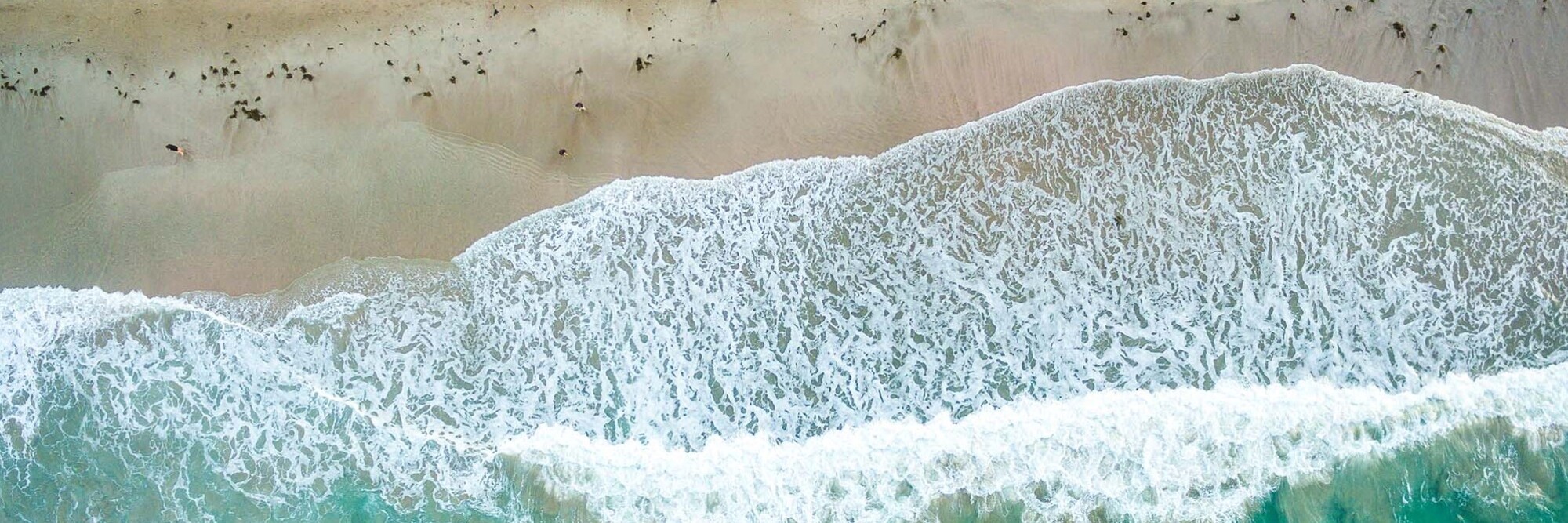 Key insights for insurers: The first wave of climate statements 