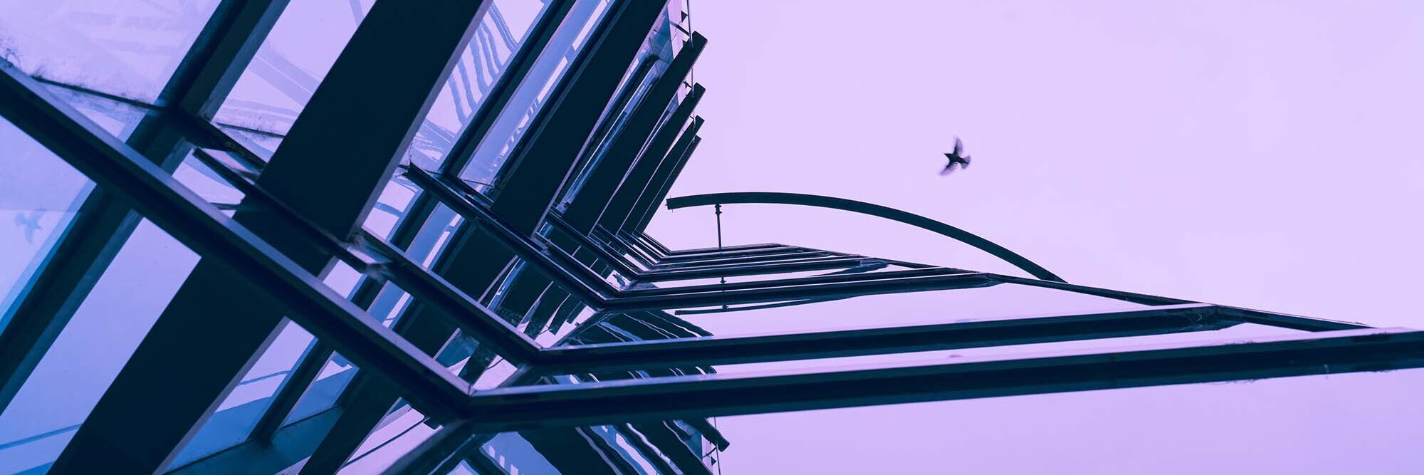 Litigation Forecast 2025