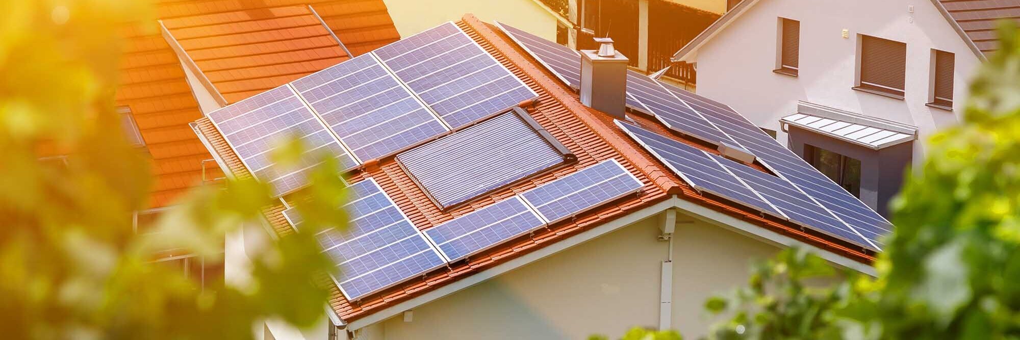 Empowering change: How Ara Ake is driving energy innovation