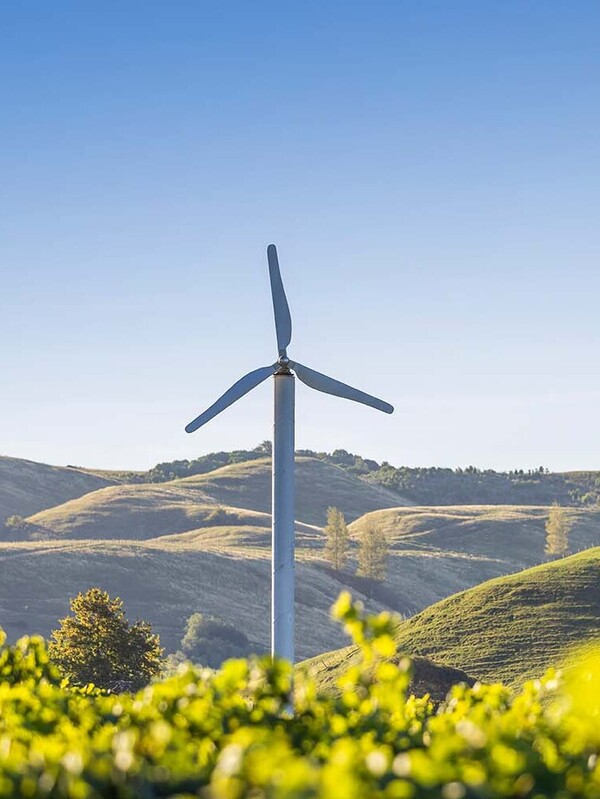 Doing Business in New Zealand Guide 2025