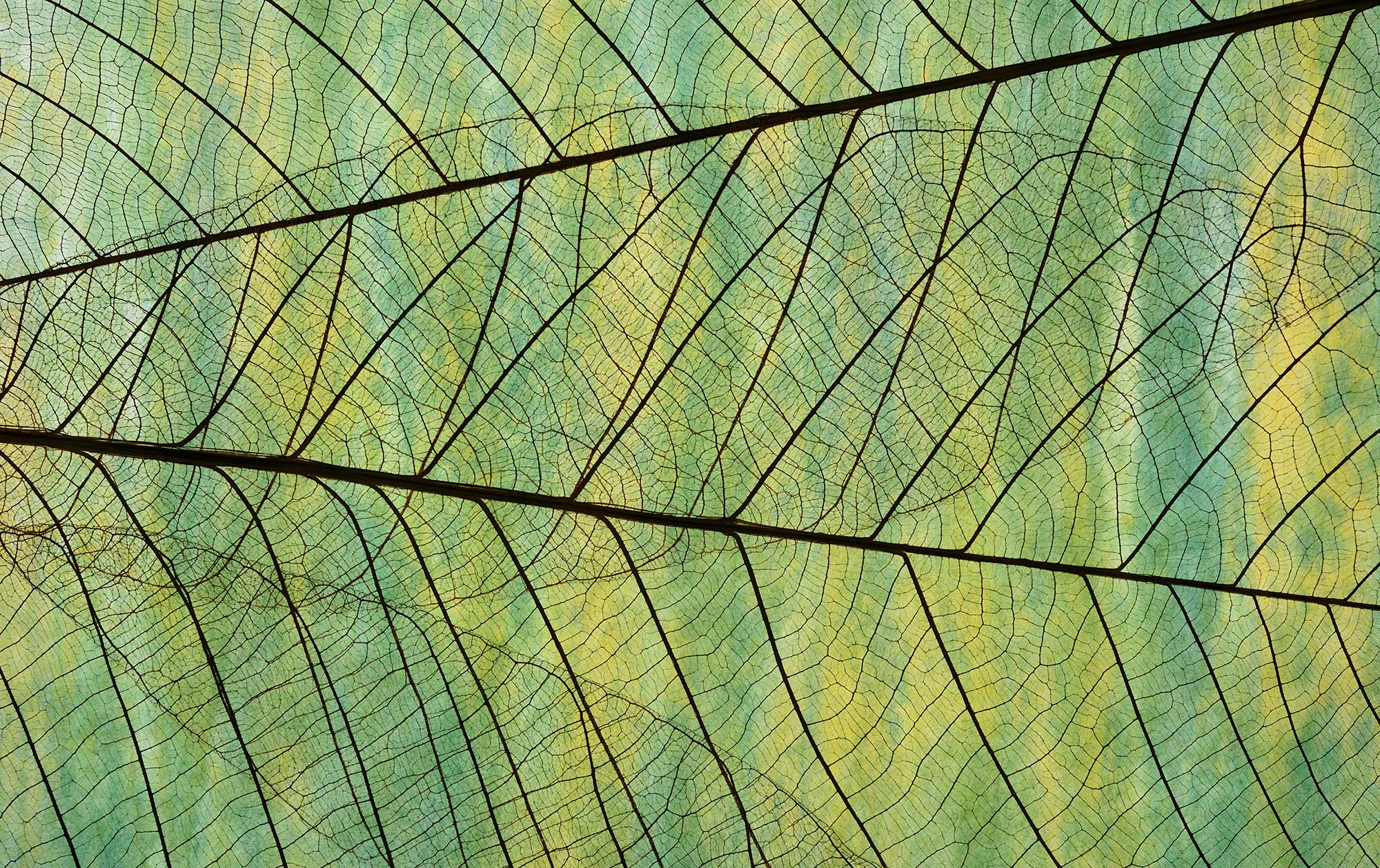 FMA publishes third insights report on climate-related disclosures