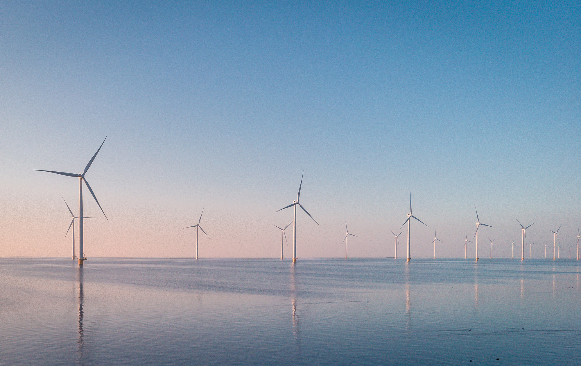 Power Purchase Agreements in New Zealand: A tool for enabling decarbonisation