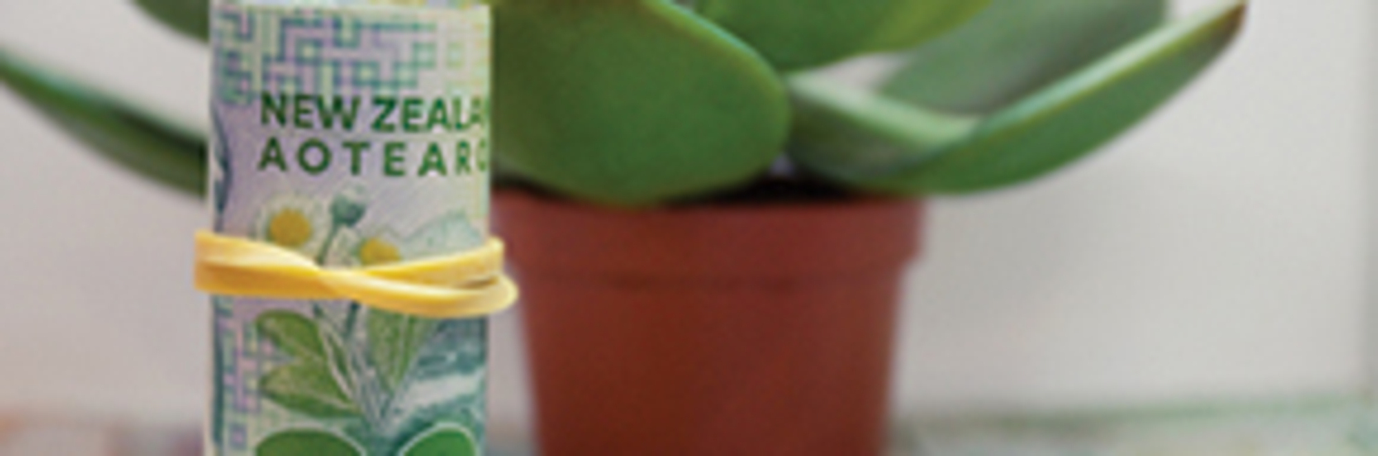 The untapped potential of KiwiSaver funds in the M&A market