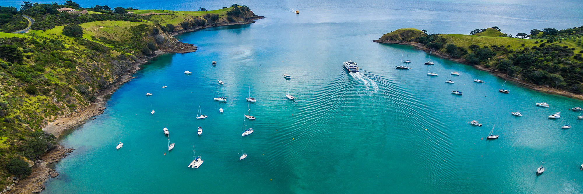 Tip of the foil: Building network capability to enable Auckland’s sustainable ferry future