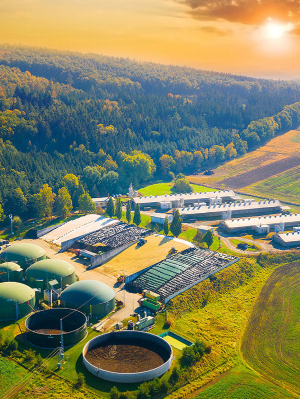 The role of biogas in New Zealand’s energy transition