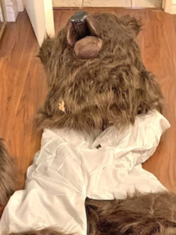 Case study: Bear-faced cheek