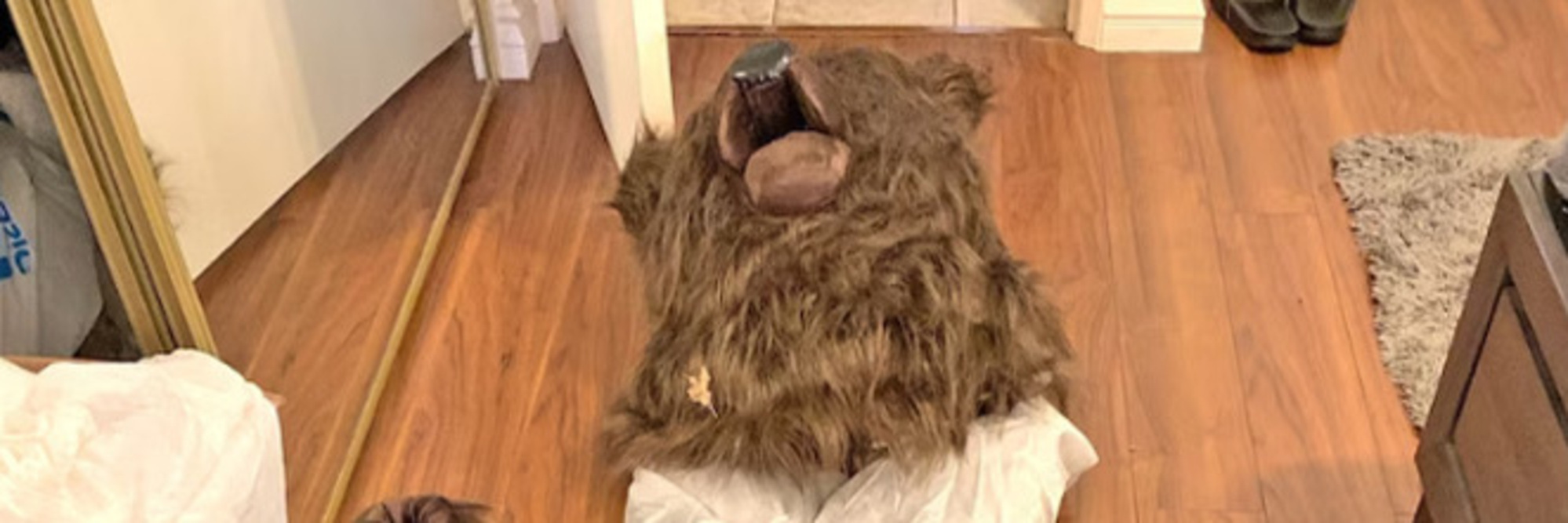 Case study: Bear-faced cheek