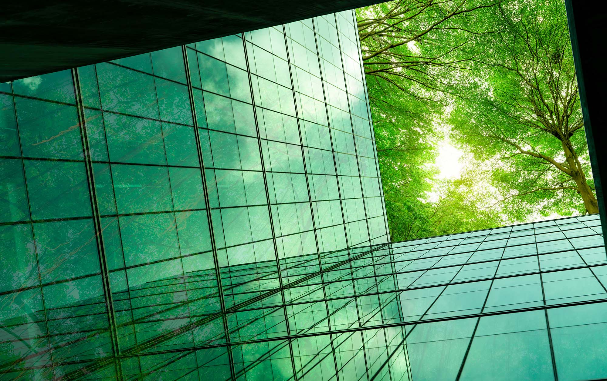 Key changes to climate reporting in 2025 