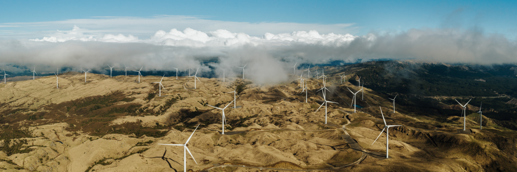 Blueprint for better: How Meridian is embedding sustainability into every project
