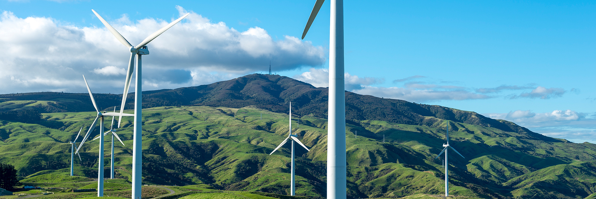 The power of the collective: Mercury’s vision for a whole of system approach