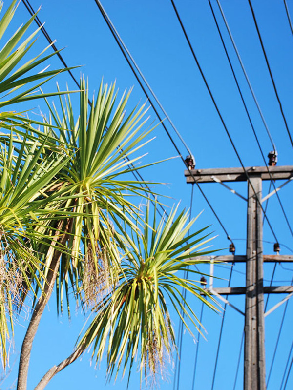 Electrifying New Zealand