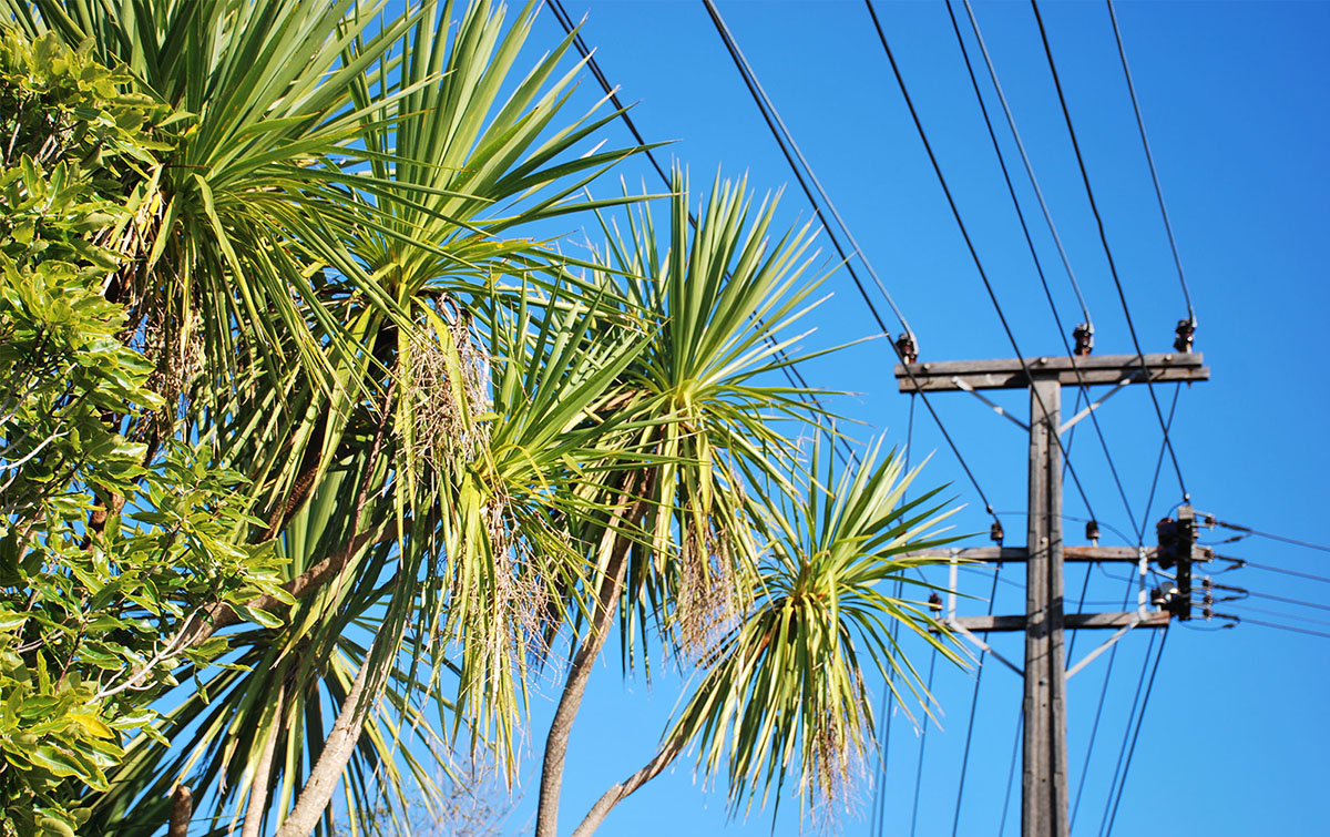 Electrifying New Zealand
