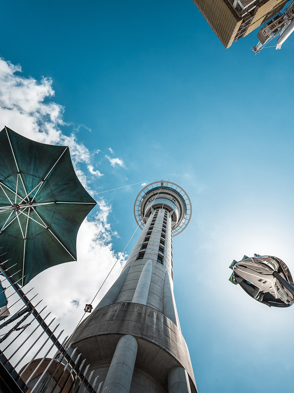 12 guiding principles for navigating regulatory investigations