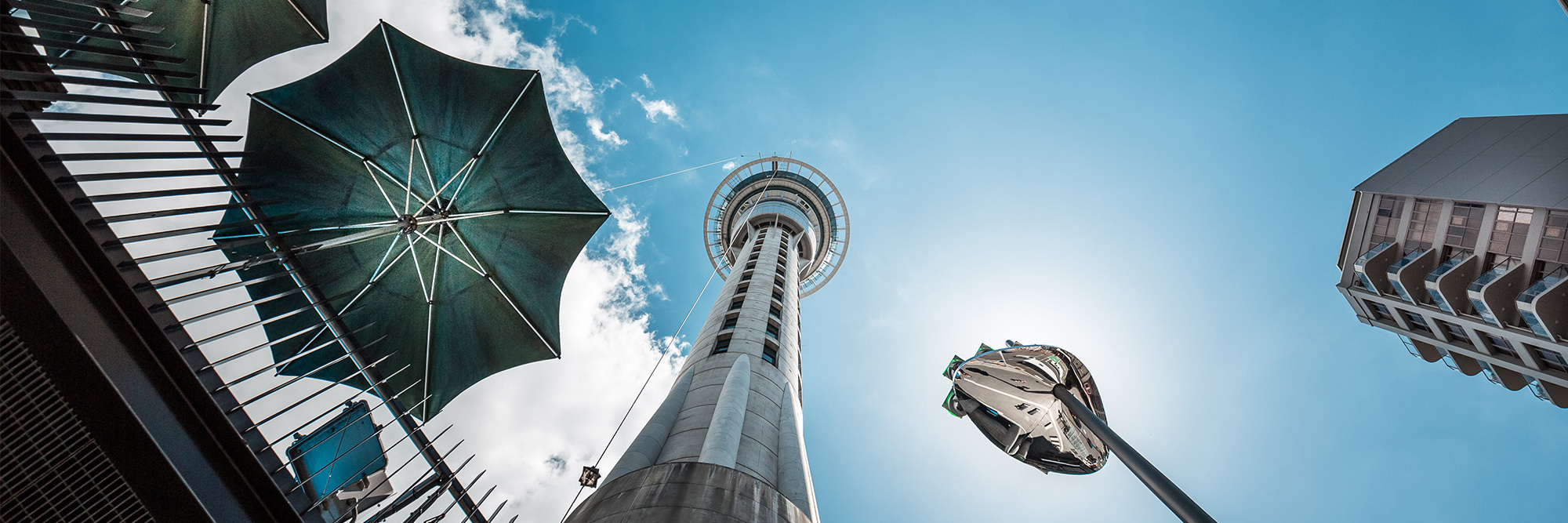 12 guiding principles for navigating regulatory investigations