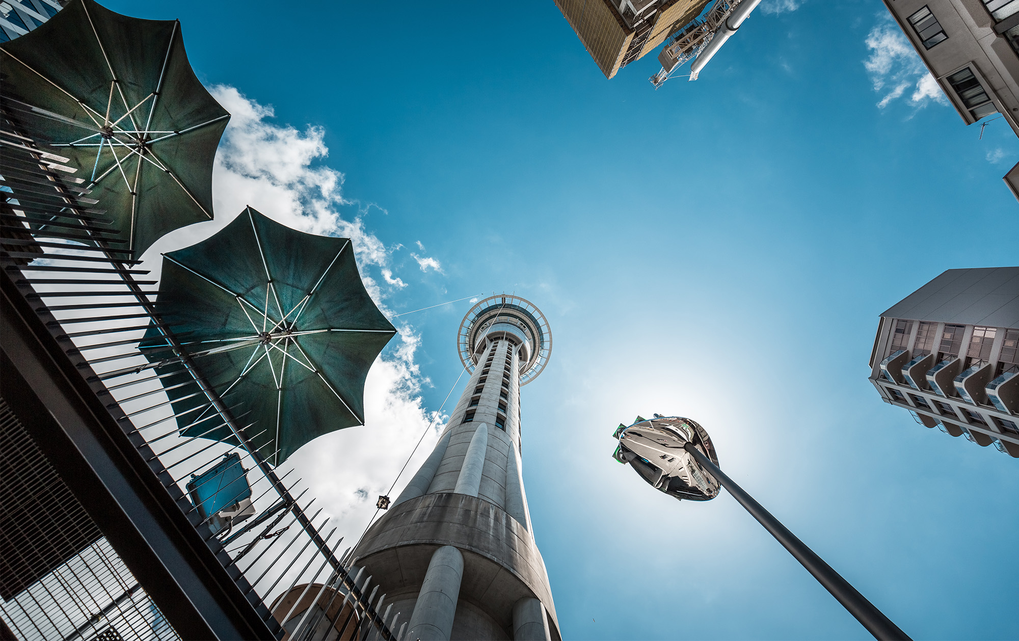 12 guiding principles for navigating regulatory investigations