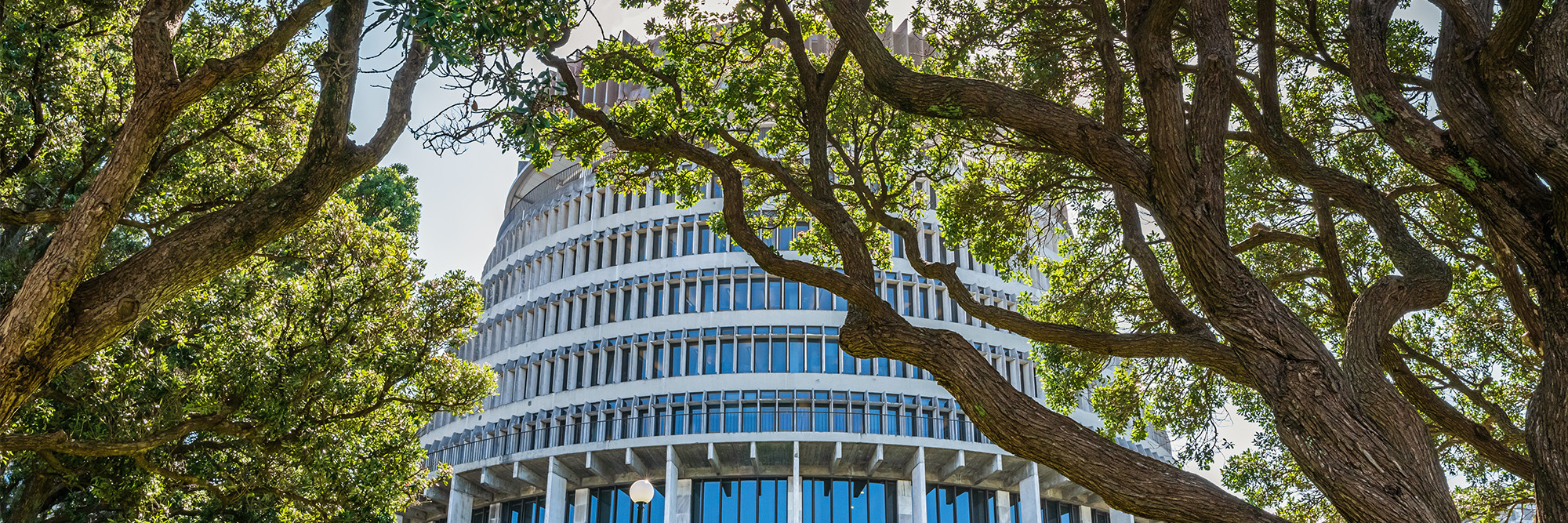 Government and public sector