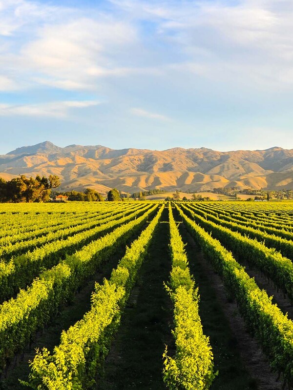 Reform of the New Zealand foreign investment regime