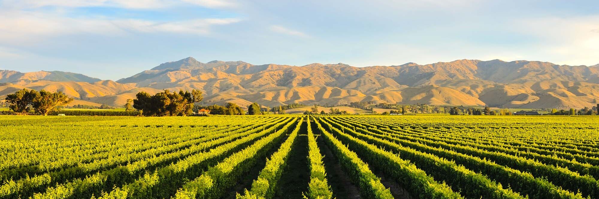 Reform of the New Zealand foreign investment regime