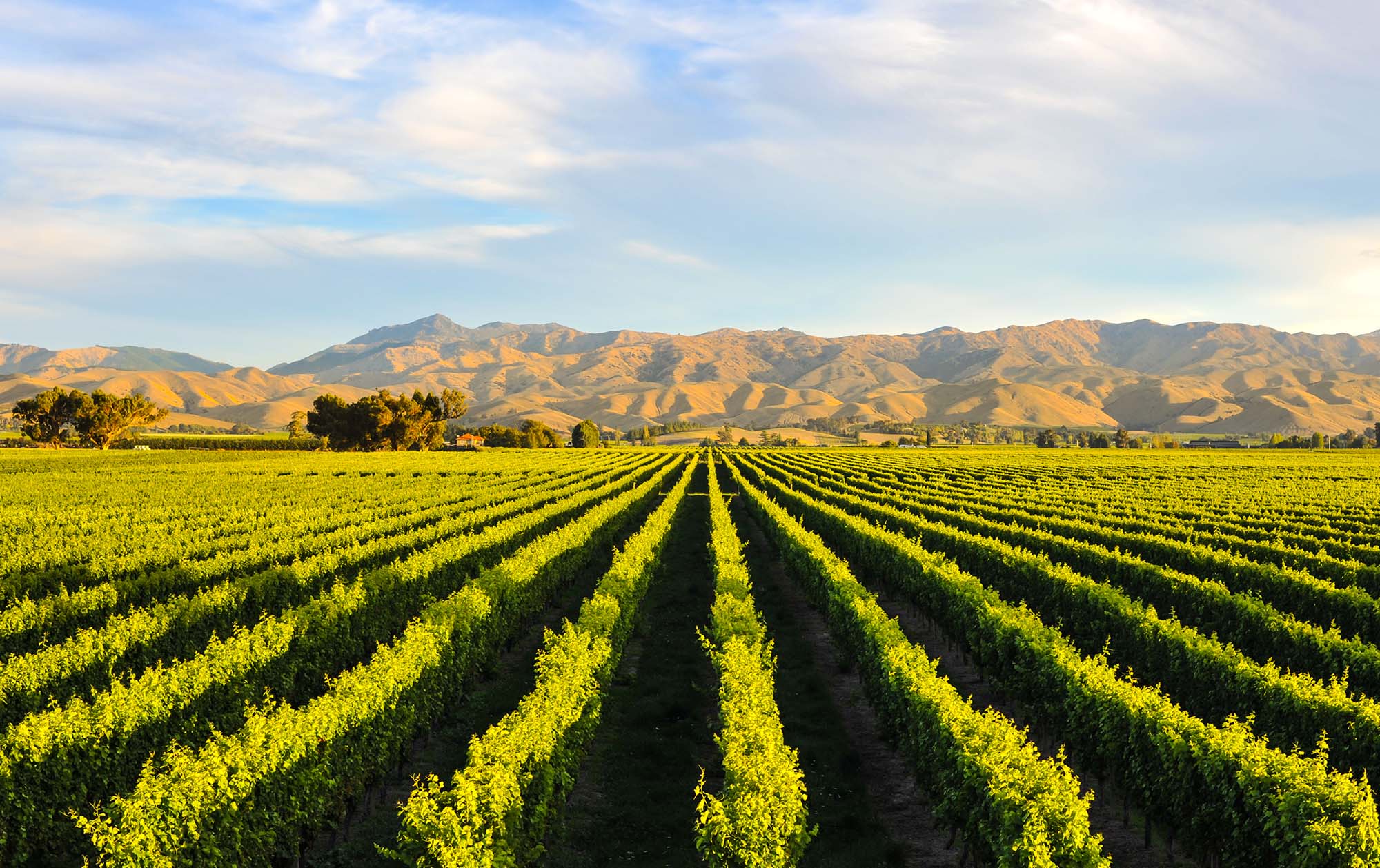 Reform of the New Zealand foreign investment regime