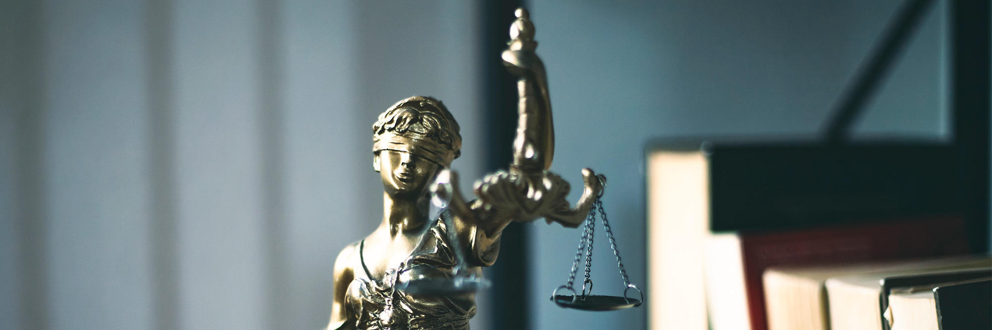 Judicial review in the spotlight