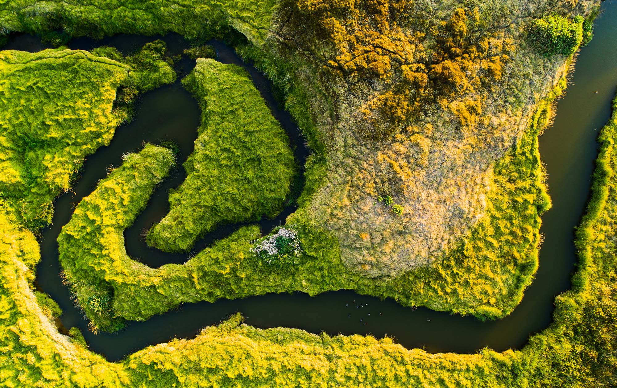 Phase three: The future of resource management