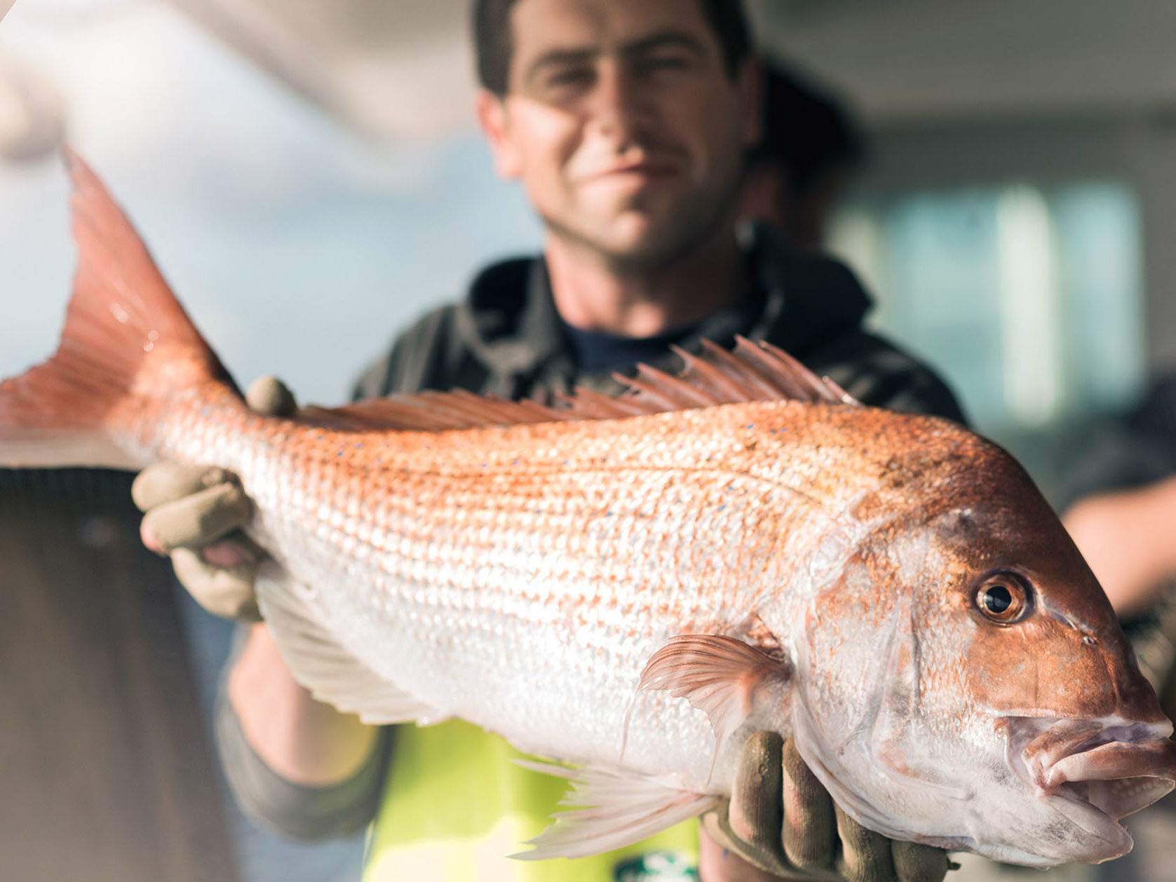 Award-winning kaitiaki challenges tide with sustainable fishing Mobile Image