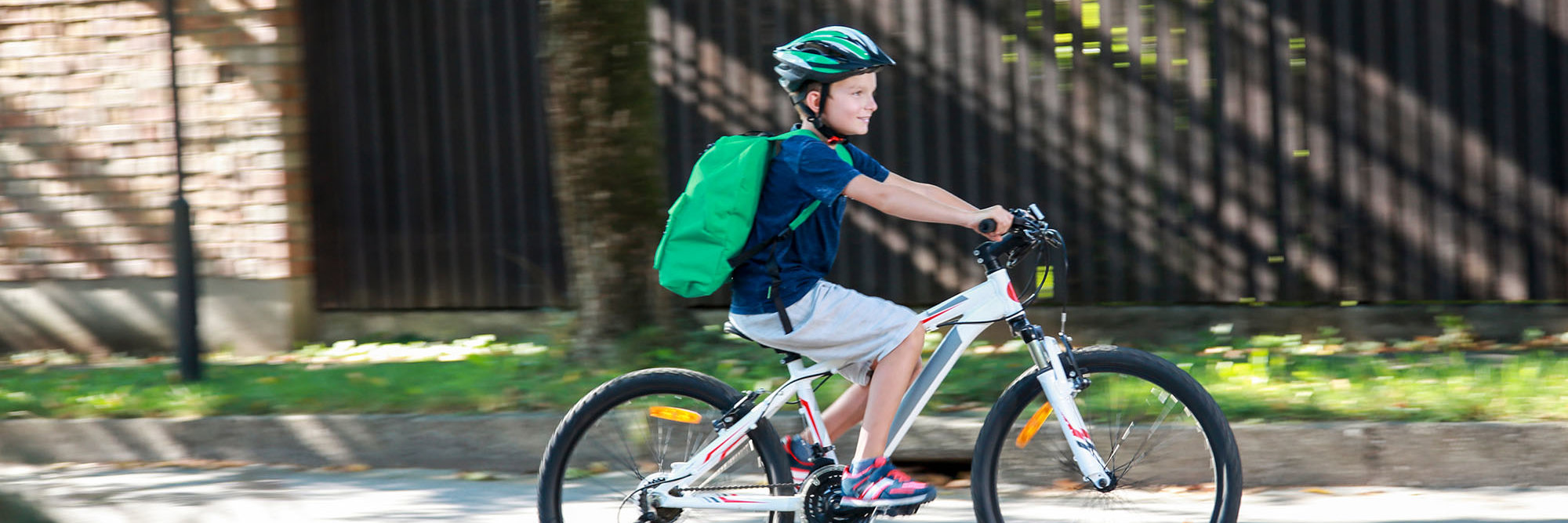 On Our Way: Piloting schools towards a more sustainable future Desktop Image