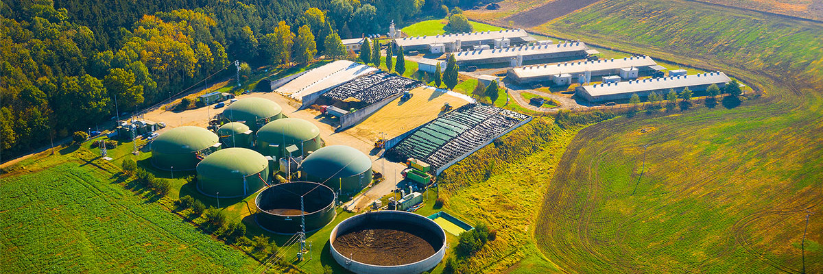 The role of biogas in New Zealand’s energy transition Desktop Image