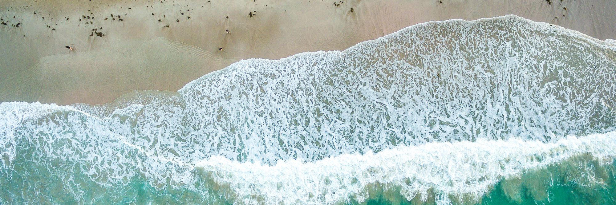 Councils favour DAPP to get on with adaptation at the local level Desktop Image